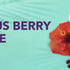 Hibiscus Berry Sunrise Drink