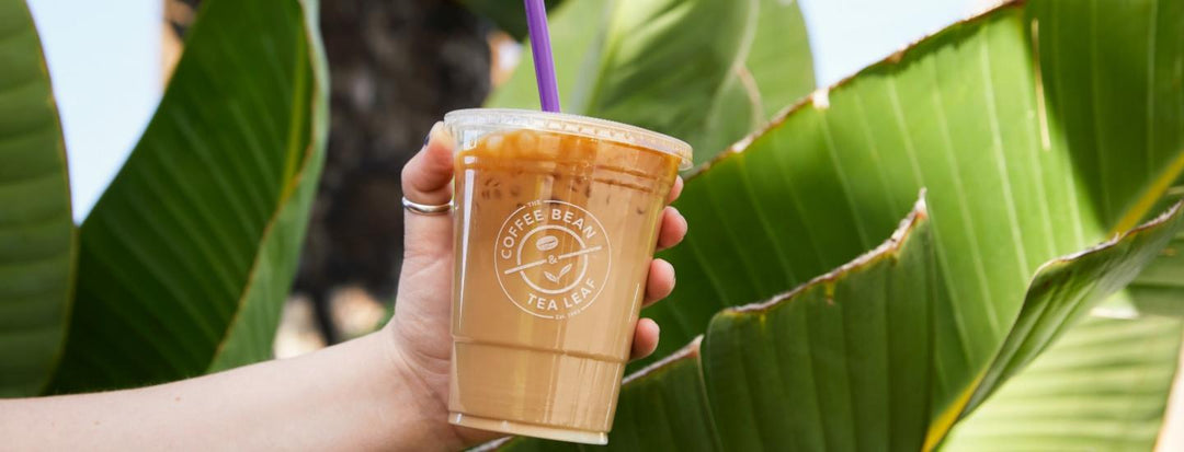 Coffee Bean Drink and Leafy Fronds
