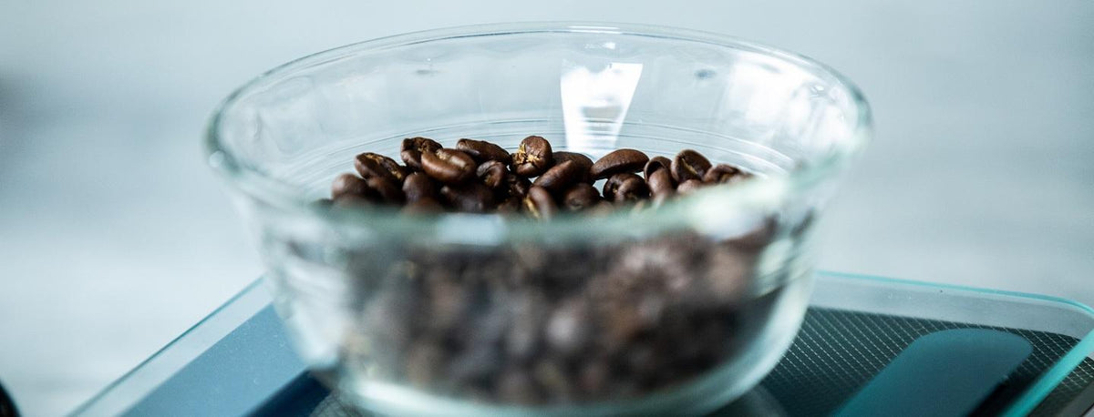 Bowl of Coffee Beans